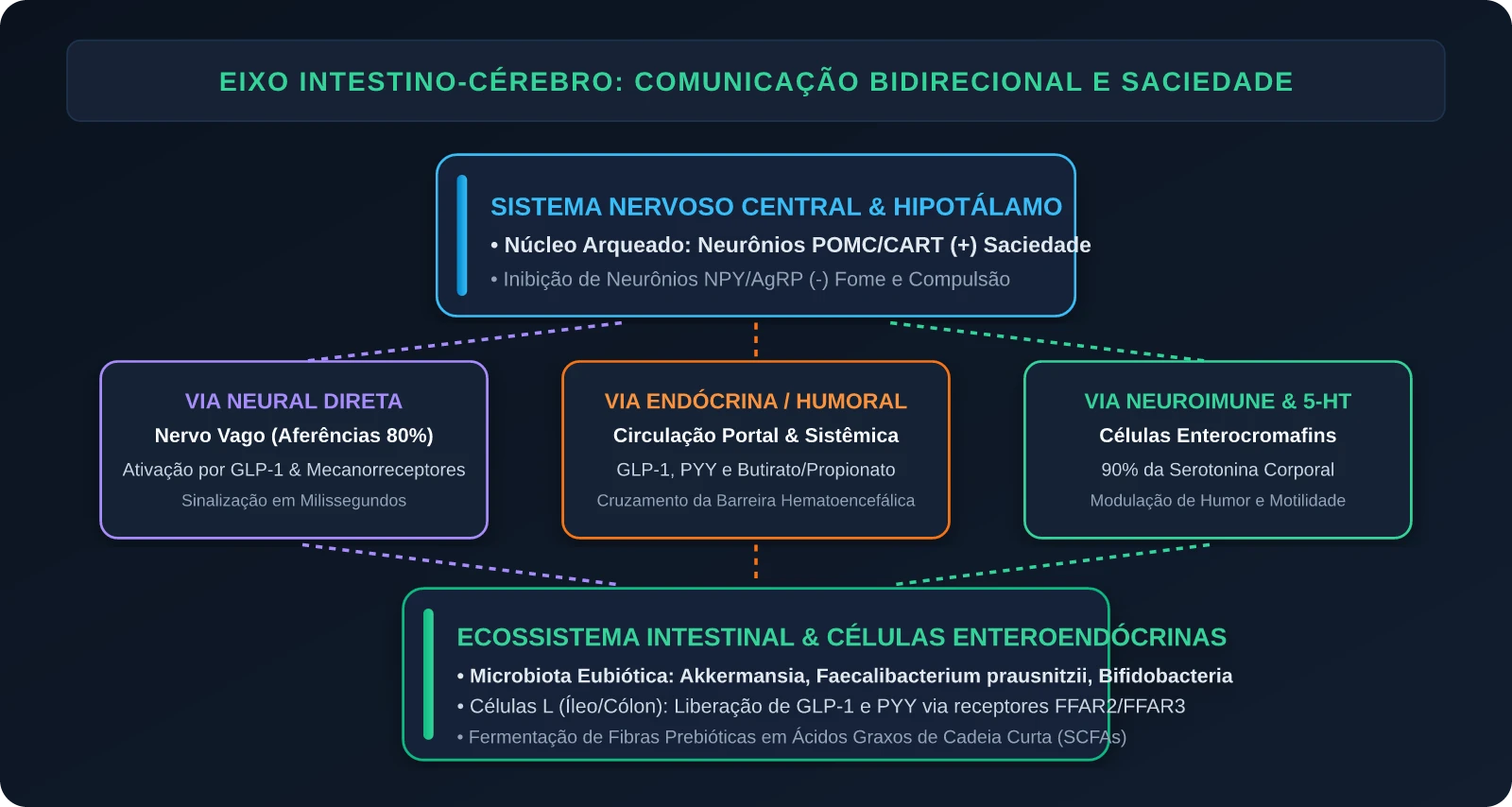Eixo Intestino-Cérebro: Comunicação Bidirecional e Vias de Saciedade