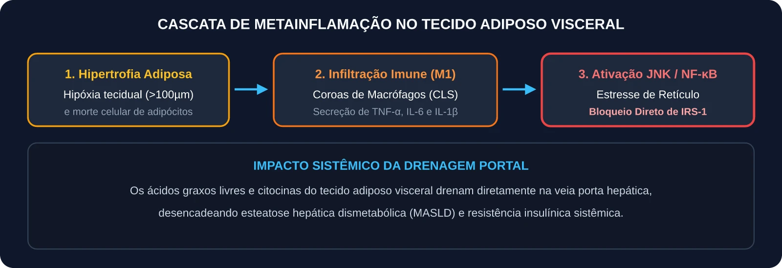 Cascata de Metainflamação no Tecido Adiposo Visceral
