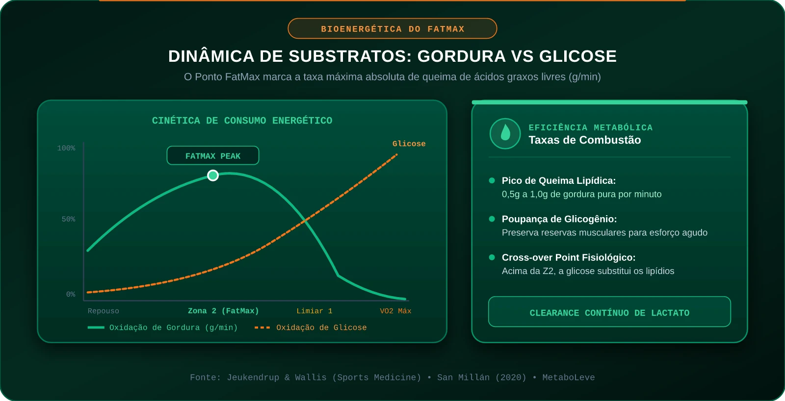 Dinâmica de Substratos: Gordura vs Glicose