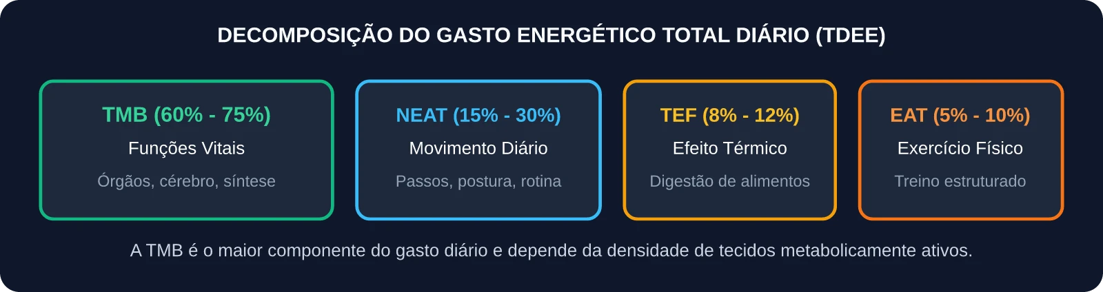 Decomposição do Gasto Energético Total Diário TDEE