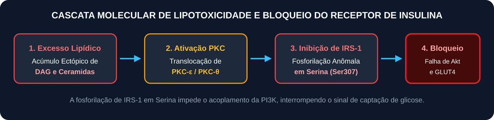 Cascata Molecular de Lipotoxicidade e Bloqueio de IRS-1