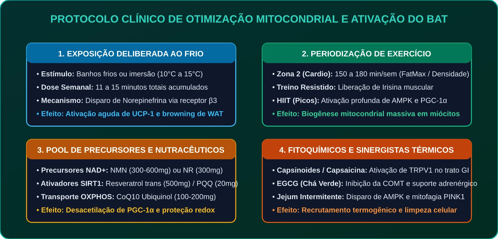 Protocolo Clínico de Otimização Mitocondrial e Ativação do BAT
