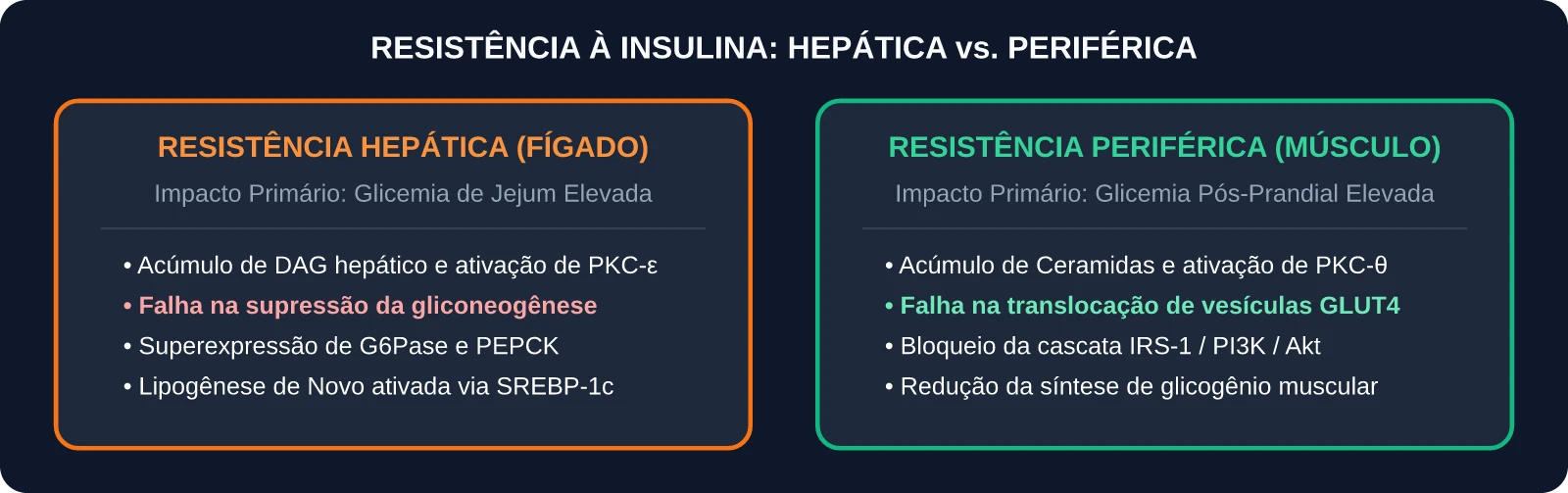 Comparativo: Resistência à Insulina Hepática vs Periférica