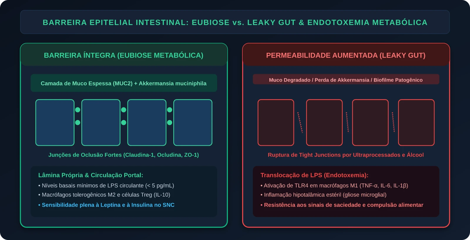 Barreira Epitelial Intestinal: Eubiose vs. Leaky Gut e Endotoxemia Metabólica