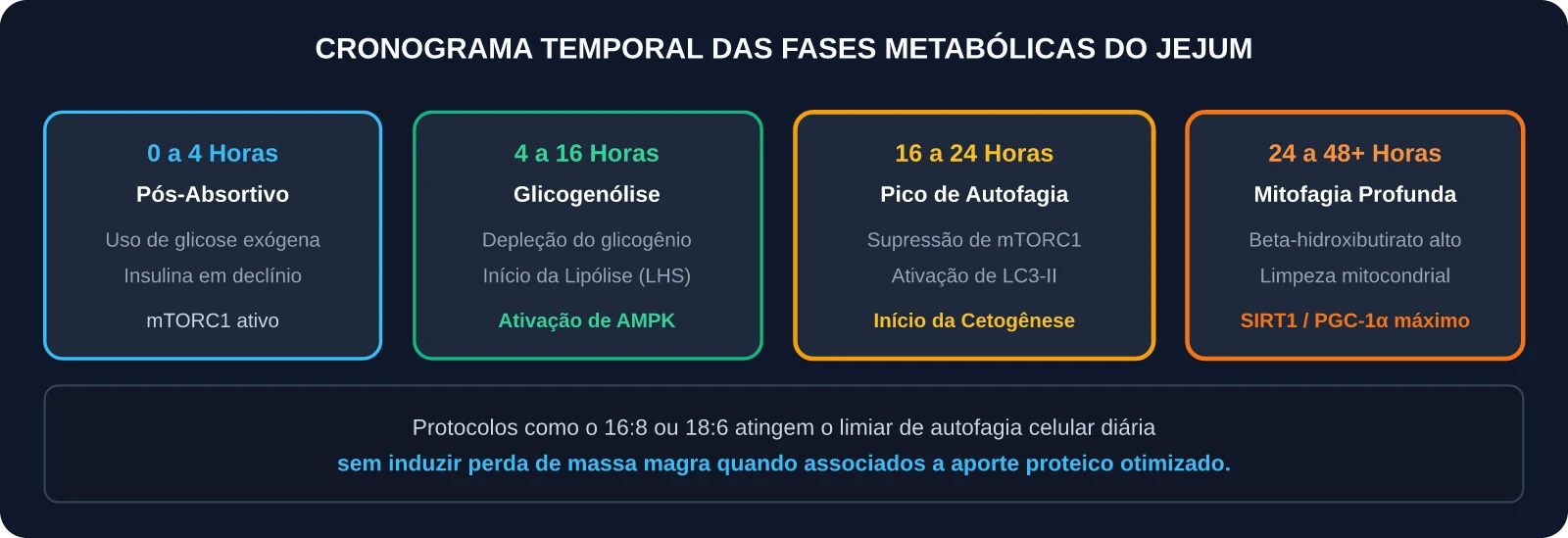 Cronograma das Fases Metabólicas e Gatilhos do Jejum