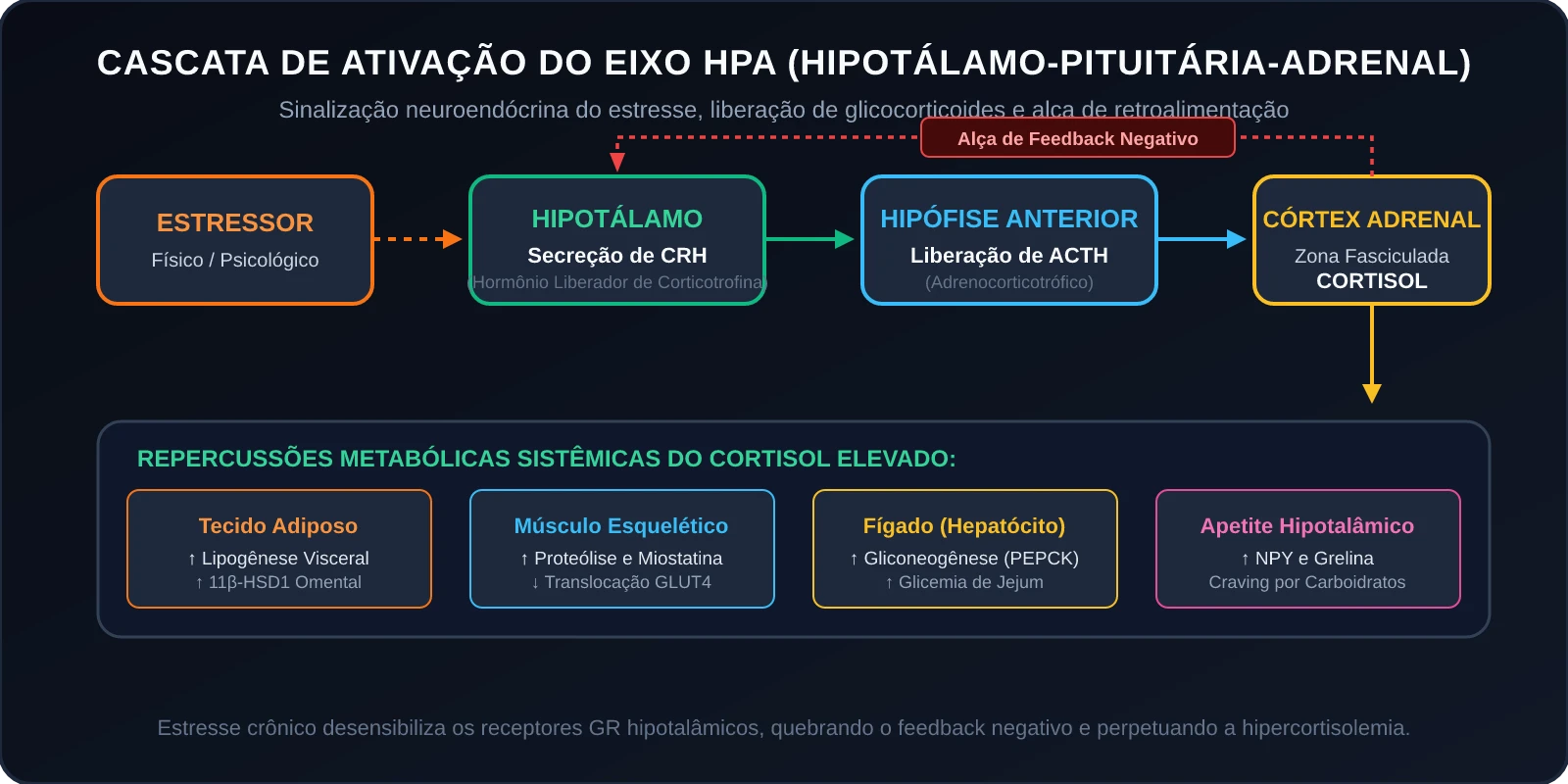 Protocolo Integrativo de Modulação do Cortisol e Eixo HPA